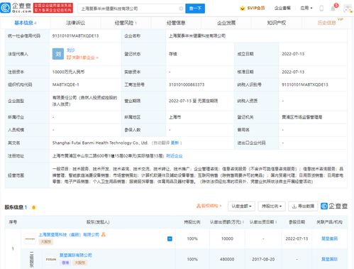 网络技术服务 数字时代的隐形支柱